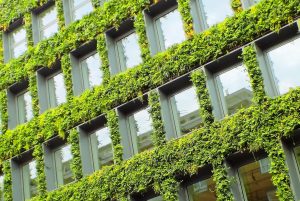 grass-walls-2651587_1920.jpg