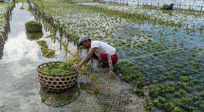 Climate Finance Is a Top Story to Watch in 2025