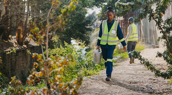 In Sub-Saharan Africa, Nature-Based Solutions Take Root | TheCityFix