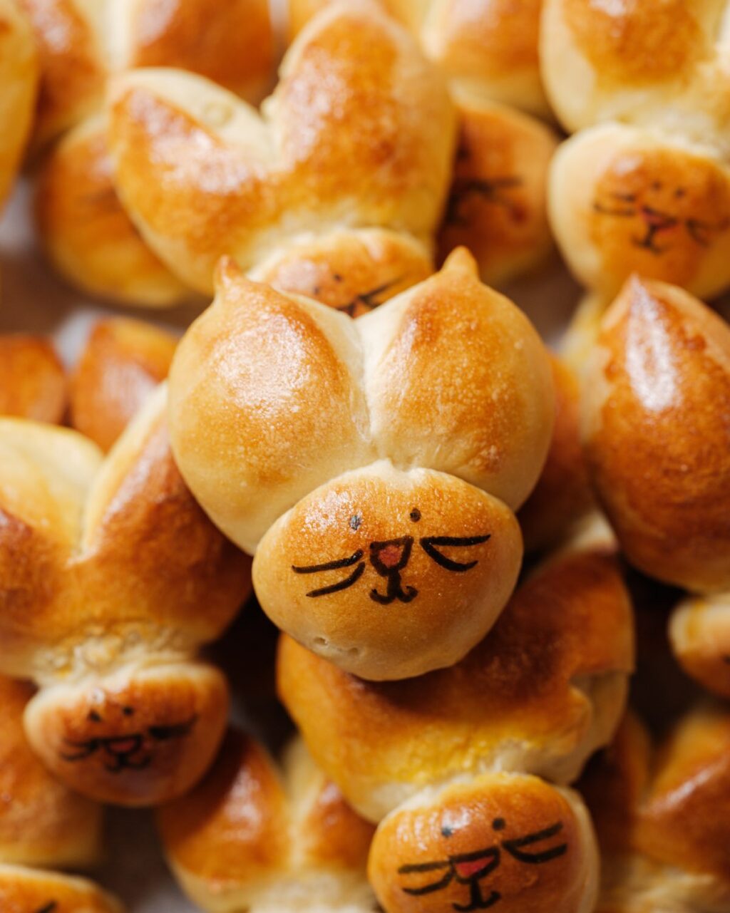 Zuikio duona - pora virėjų